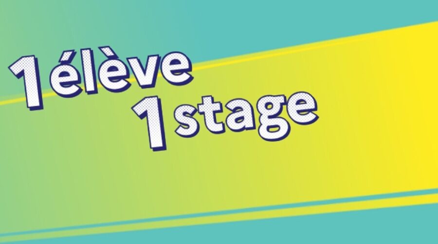 dispositif-1-l-ve1stage-46806.jpg